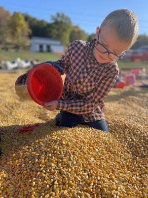 Corn Pit to play in