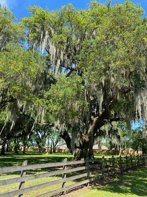 Mckenzie Enterprises