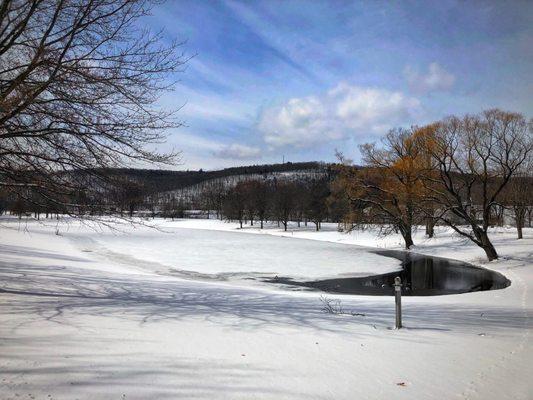 Snow day in the park (March 2022)