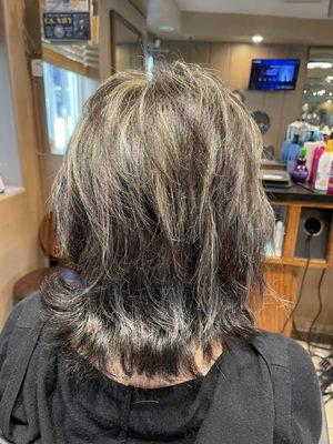 Beverly's Never Just Haircuts