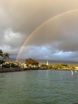 Immaculate Housekeeping