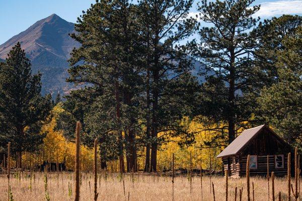 Westcliffe Home & Ranch