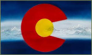 Bulldog Protective Solutions