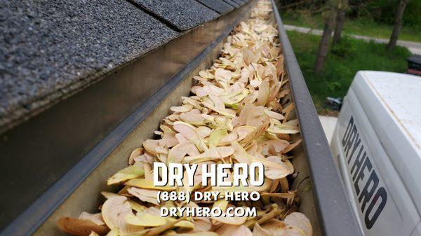 DryHero Water and Mold