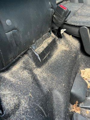 Mickey's Auto Detail