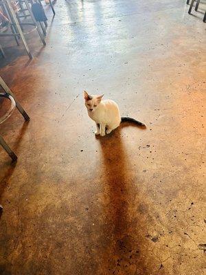 Crooked Thumb Brewery