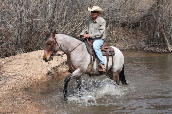 Gold Bar Ranch