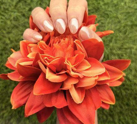 Five Star Nails & Spas