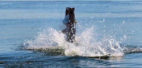 My Fishing Adventure Charters