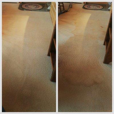 Patrick's Carpet Cleaning