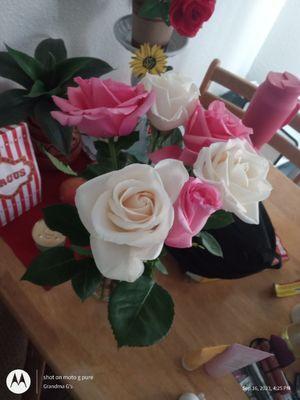 Our Lady Help of Christians School