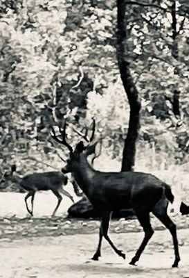 Sugarloaf Ridge State Park