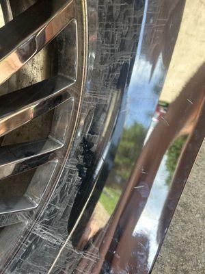 Here is the 7 gashes