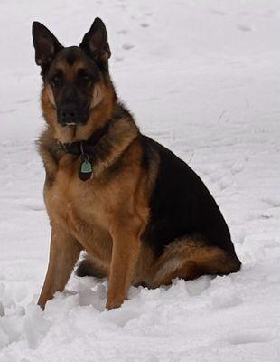 Axe & Hammer Construction