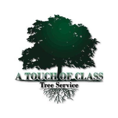 A Touch of Class Tree Service