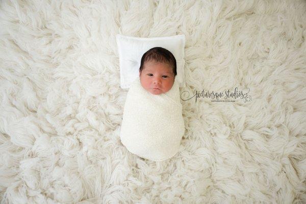 Picturesque Studios - Photography by Elysia Janae