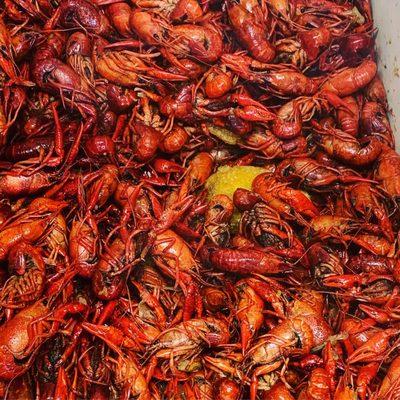 Boiled crawfish