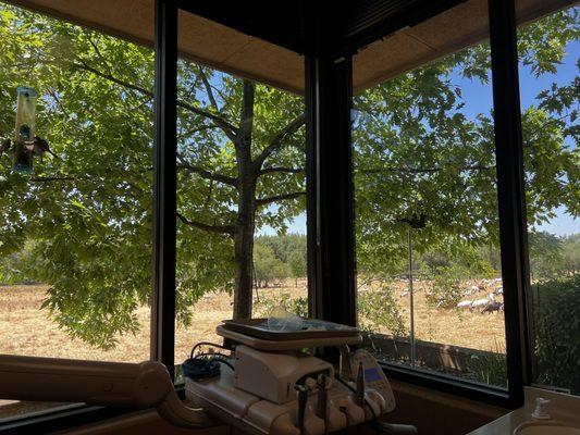 Kerzie & Orsino Dental