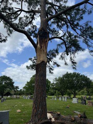 Mount Olivet Catholic Cemetery