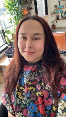 Wild Collective Salon