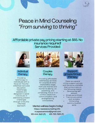 Peace in Mind Counseling