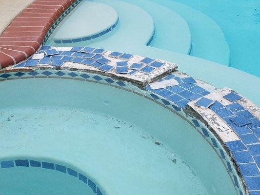 Silver Fox Pool Inspections