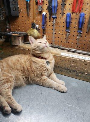 Rio Industrial Supply