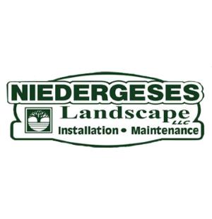 Niedergeses Landscape