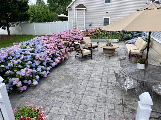 Lisa Andrade - Realtor