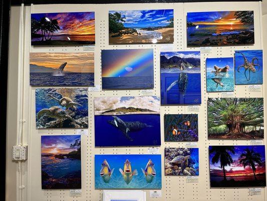 Lahaina Arts Society