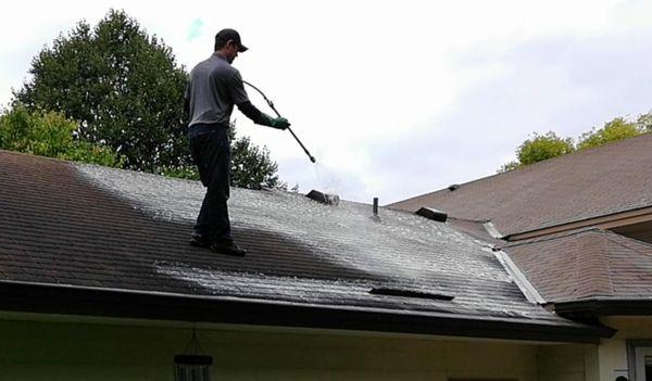 Applying Roof Cleaning Solution