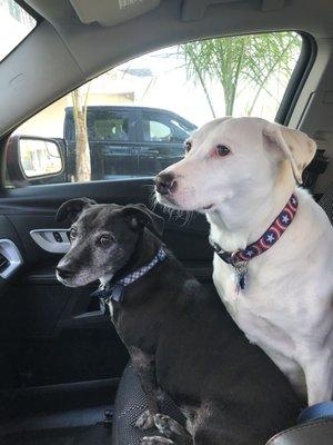 Narcoossee Animal Hospital