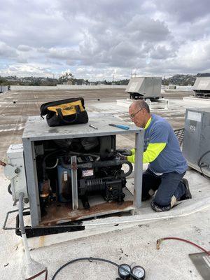 Asian commodities ware house Commercial walk in Freezer compressor change out