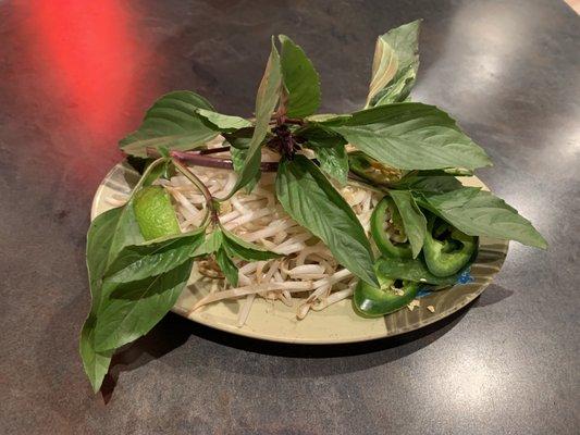 1/13/23 Craving pho, comfort food...