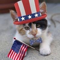 Camden Animal Clinic