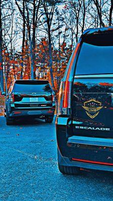 Elegance Limo Boston