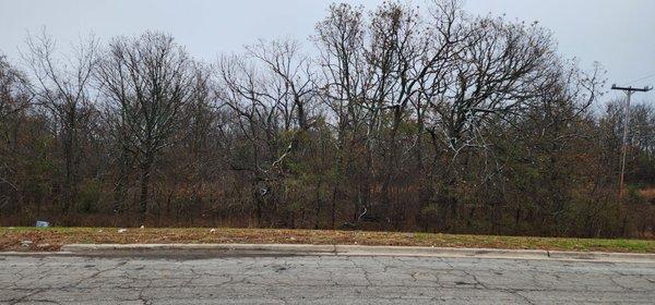 Woke up to snow on the branches and trash everywhere.