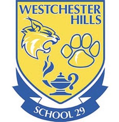 School 29