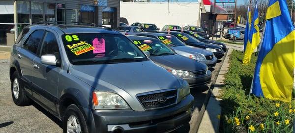 Paradise Motors