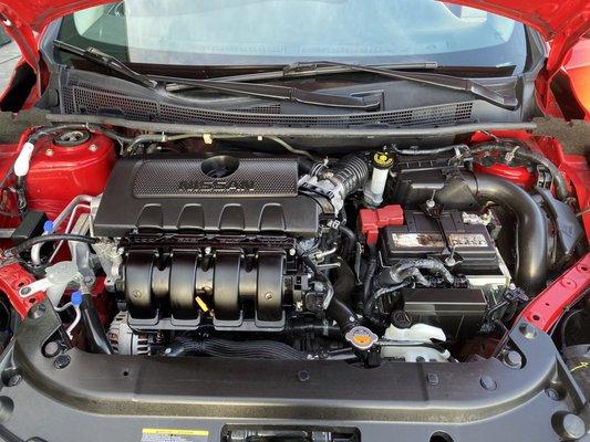 Suds Up Auto Detailing