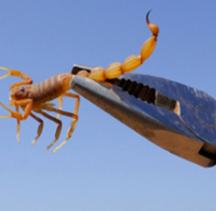 Pest'R Us Exterminating