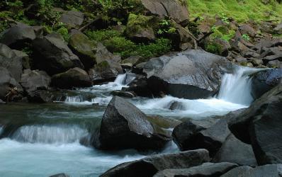 Daniels Candace LMSW