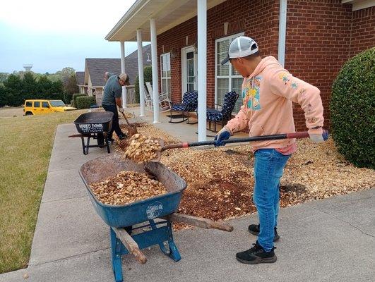 Romeo Juan landscaping and trees services