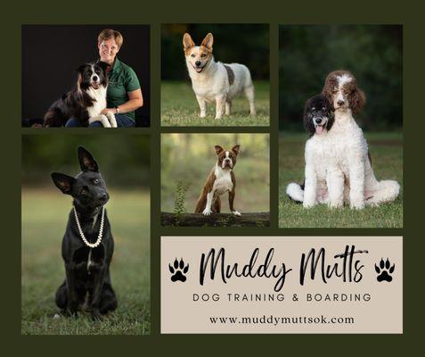 Muddy Mutts
