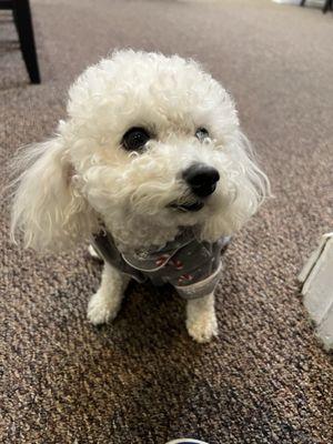 Parc Center Dental Group