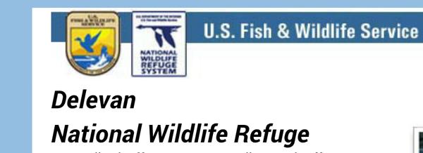 Sacramento National Wildlife Refuge