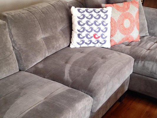 Native Cleaning & Property Maintenance