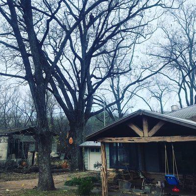Ozark of Austin Tree Service