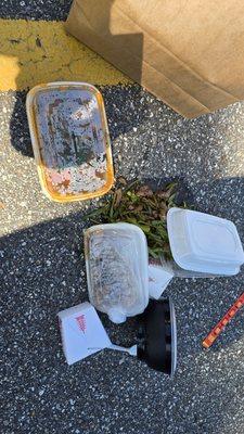 Takeout disaster, bags are flimsy