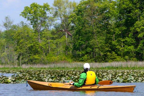 Smoray's Paddle Crafts